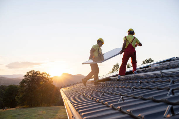 Best Roof Moss and Algae Removal  in Del Rey, CA