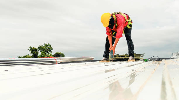 Roof Coating Services in Del Rey, CA
