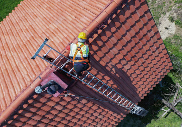 Best Roof Ventilation Installation  in Del Rey, CA